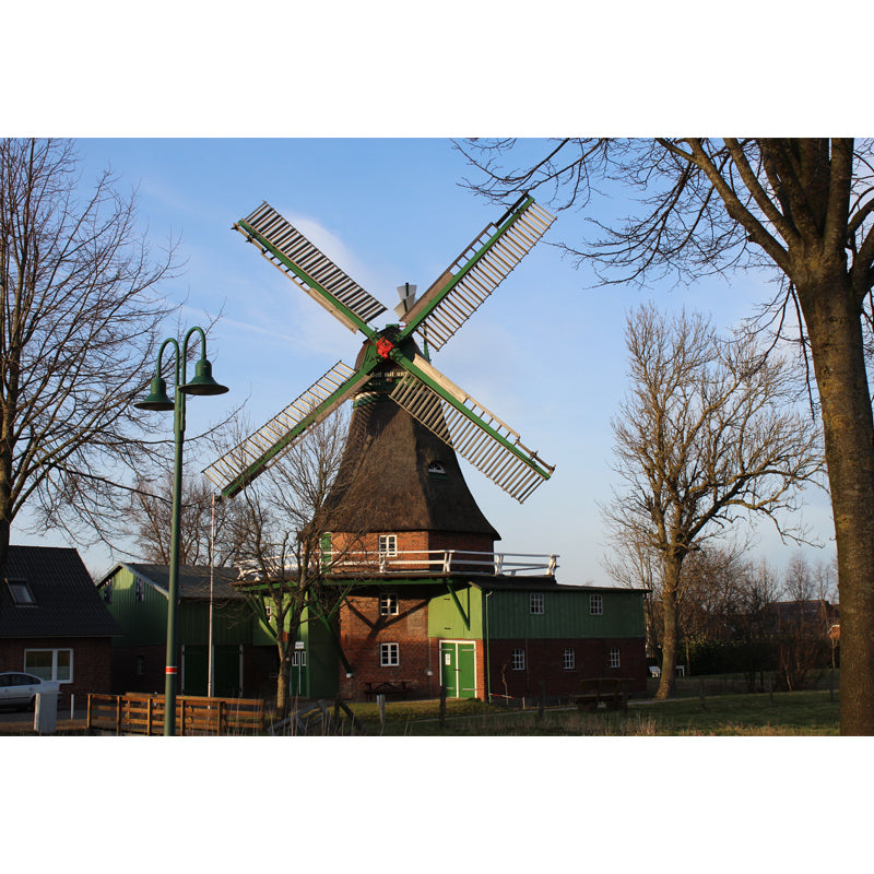 Extra Large Windmill Mural Brown Non-Woven Wall Art for Home Decor, Personalised
