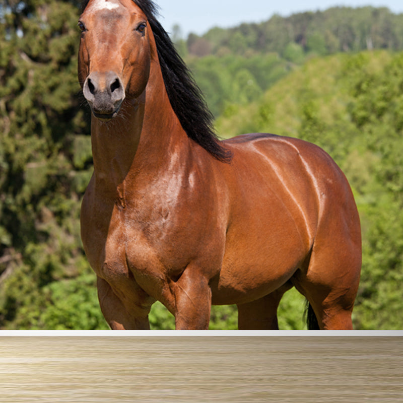 Décoration murale non tissée en forme de cheval extra large, couleur douce, pour salon, personnalisée