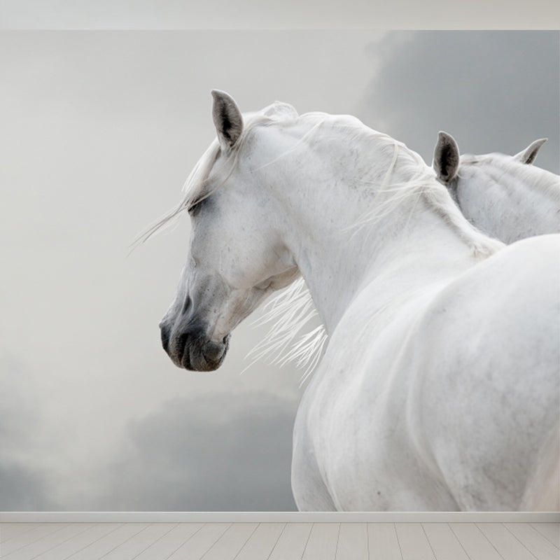 Big White Horse Print Mural Wallpaper Decorative Contemporary Living Room Wall Art