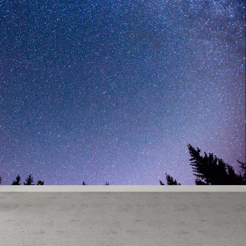 Full Size Photography Modern Mural Decal with Night Sky Pattern Constellations in Purple