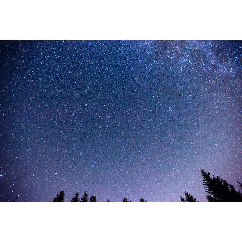 Full Size Photography Modern Mural Decal with Night Sky Pattern Constellations in Purple