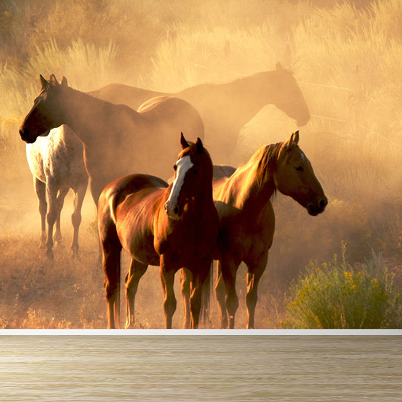 Huge Horse Mural Decal for Kitchen Animals Wall Art in Light Color, Stain Resistant