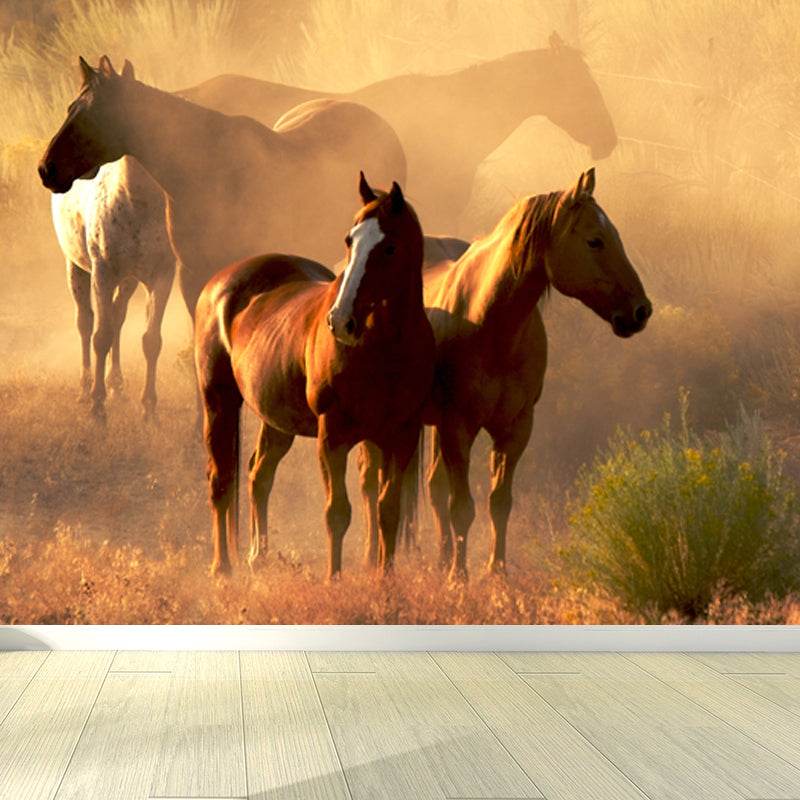 Huge Horse Mural Decal for Kitchen Animals Wall Art in Light Color, Stain Resistant