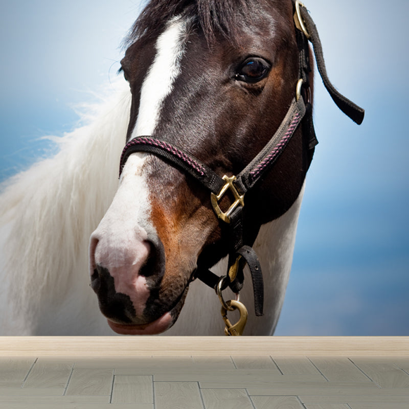 Huge Horse Mural Decal for Kitchen Animals Wall Art in Light Color, Stain Resistant