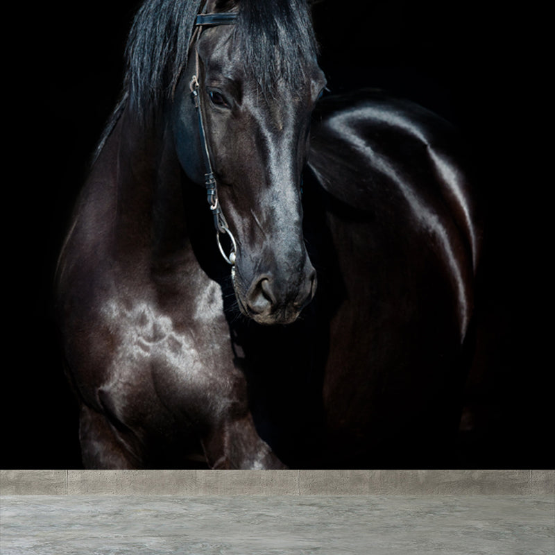 Huge Horse Mural Decal for Kitchen Animals Wall Art in Light Color, Stain Resistant