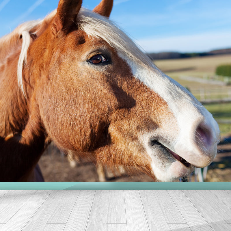 Large Tall Horse Mural Decal Contemporary Tameable Animals Wall Covering in Brown