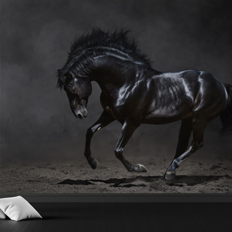 Whole Smart Steed Mural Wallpaper for Wall Decor Contemporary Boys Room Wall Art