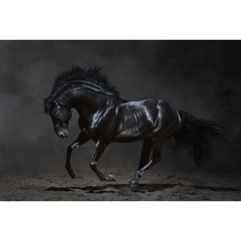 Whole Smart Steed Mural Wallpaper for Wall Decor Contemporary Boys Room Wall Art