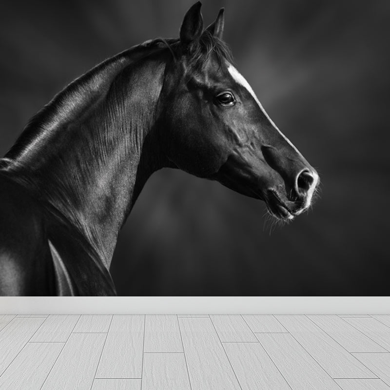 Whole Smart Steed Mural Wallpaper for Wall Decor Contemporary Boys Room Wall Art