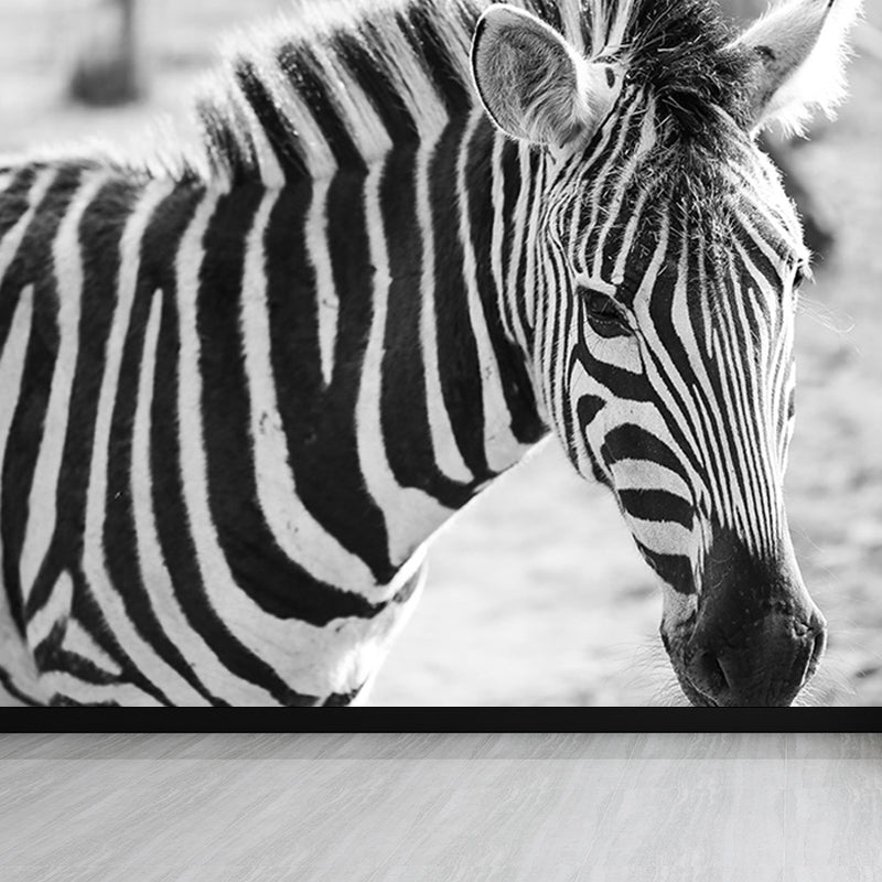 Modern Zebra Wall Mural Non-Woven Water-Proof Light Color Wall Art for Boys Bedroom