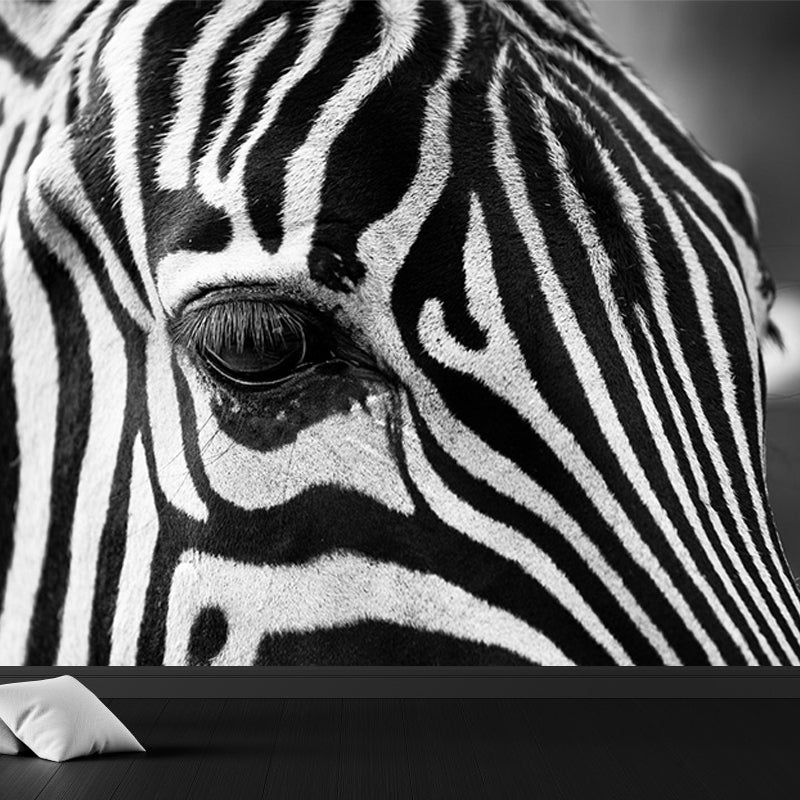 Modern Zebra Wall Mural Non-Woven Water-Proof Light Color Wall Art for Boys Bedroom