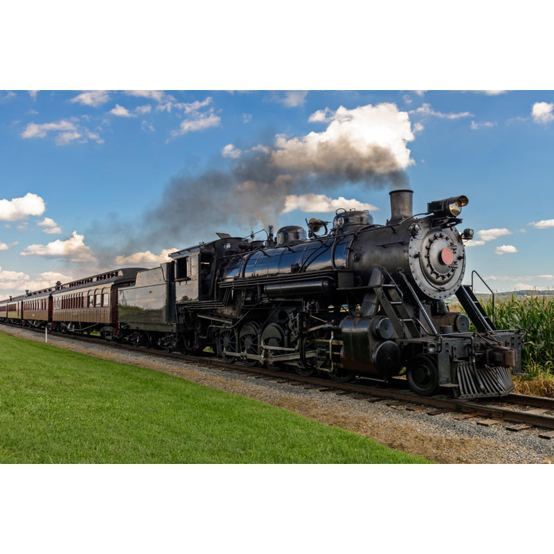 Whole Train Print Mural Decal for Indoor Decor Industrial Guest Room Wall Covering