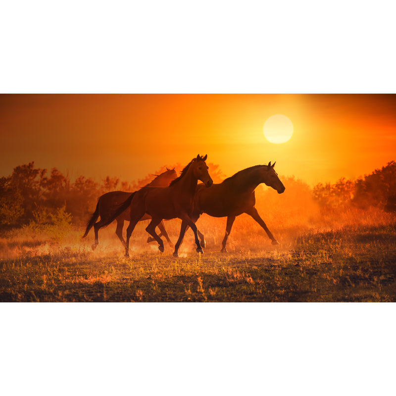 Running Horse and Sunset Mural Decal for Boys Bedroom Animals Wall Decor, Custom