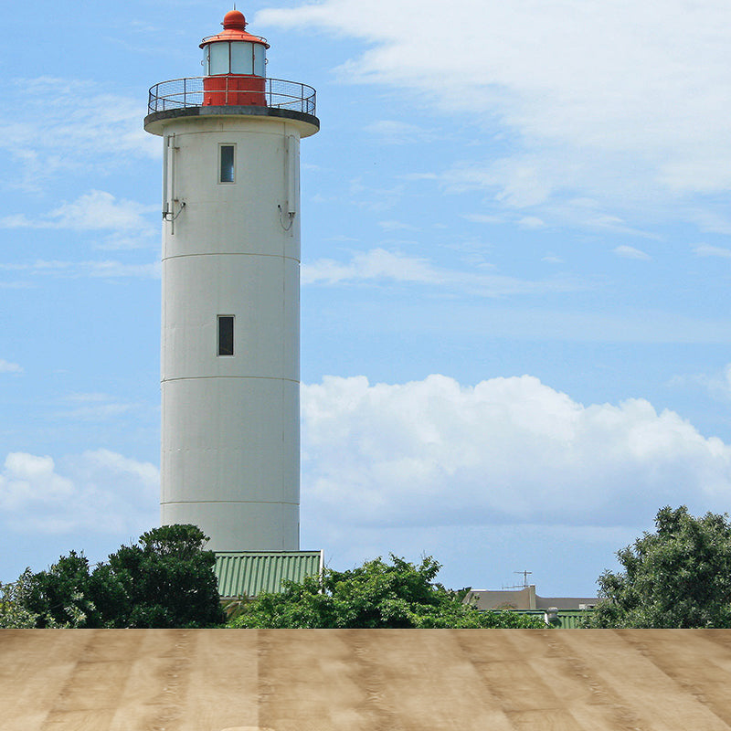Photography Style Beacon Wall Mural for Living Room, Blue, Custom Size Available