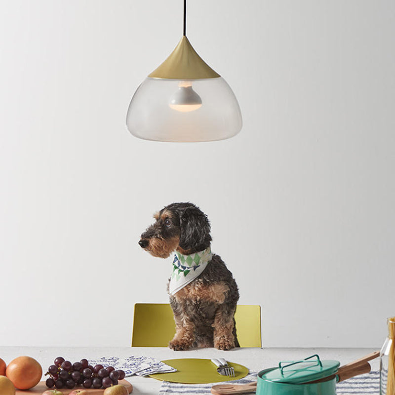 Stout Pendant Lighting Modern Glass 1 Light Chrome/Gold/Rose Gold Hanging Pendant Light