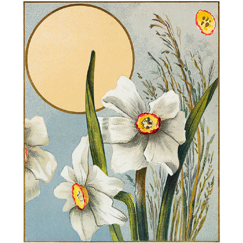 White Blossom and Sun Mural Wallpaper Florentine Contemporary Stain-Proof Wall Art