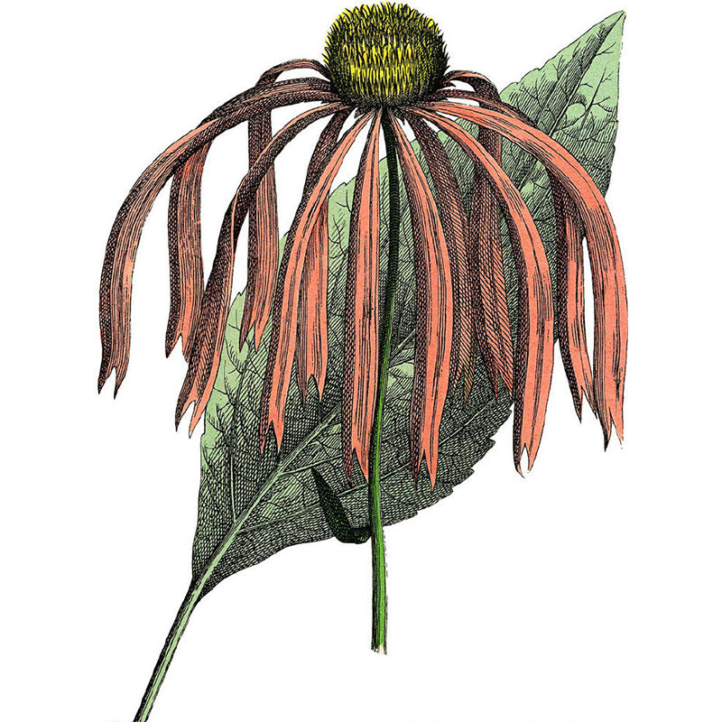 Orange Floral Print Mural Wallpaper Moisture Resistant Wall Covering for Living Room