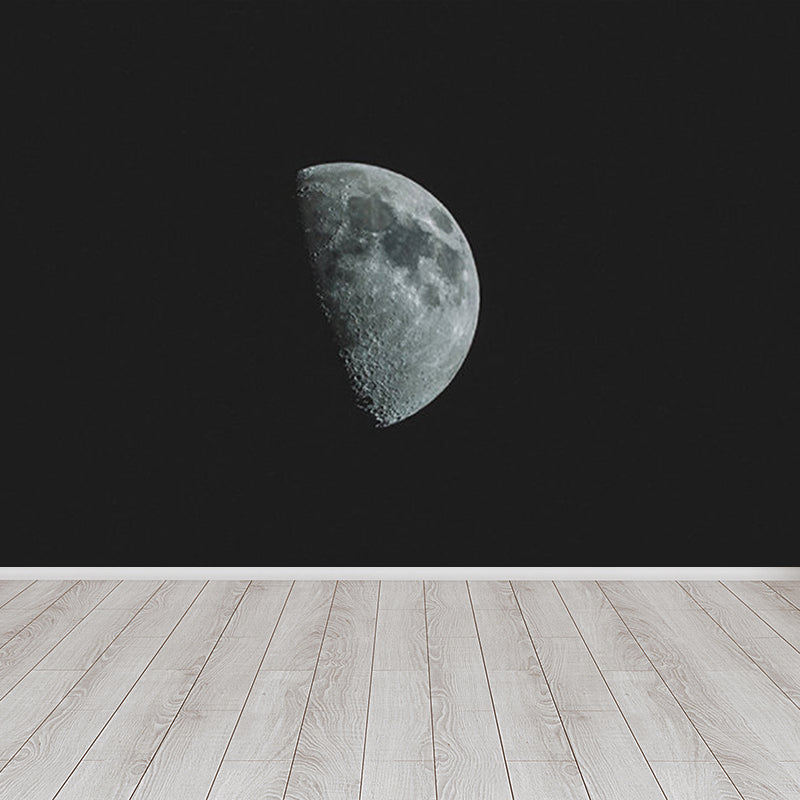 Contemporary Style Luna-Glob Mural Wallpaper Soft Color Outer Space Wall Covering