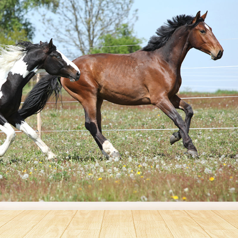 Big Horse Wall Paper Mural Stain Resistant Modern Family Room Wall Art, Custom Print