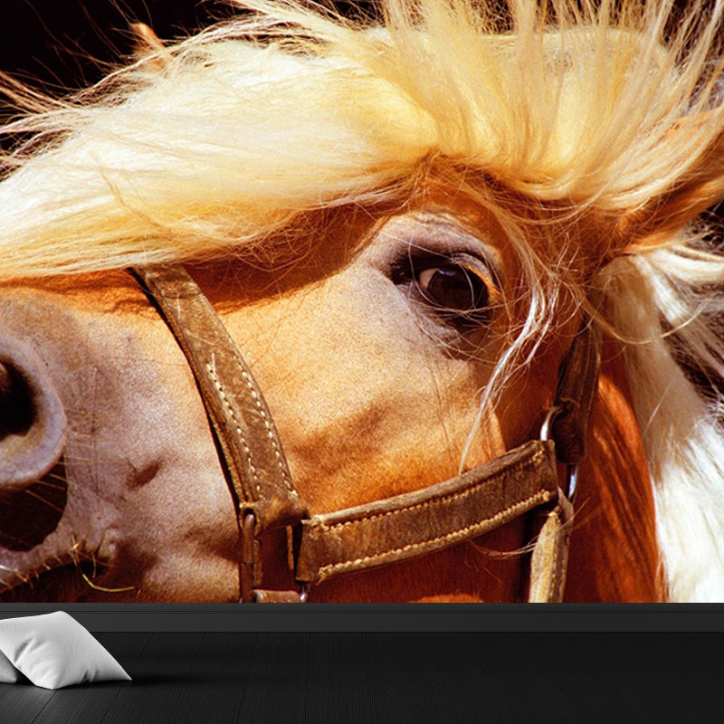 Big Horse Wall Paper Mural Stain Resistant Modern Family Room Wall Art, Custom Print