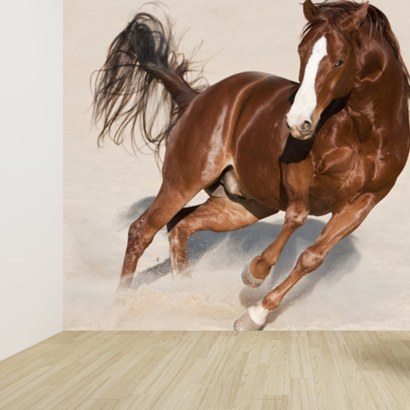 Photography Steed Wall Mural Decal Giant Wall Decor for Living Room, Made to Measure