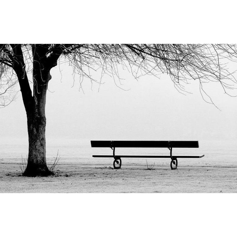 Illustration Botanical Wallpaper Mural for House Interior, Soft Color, Custom Made