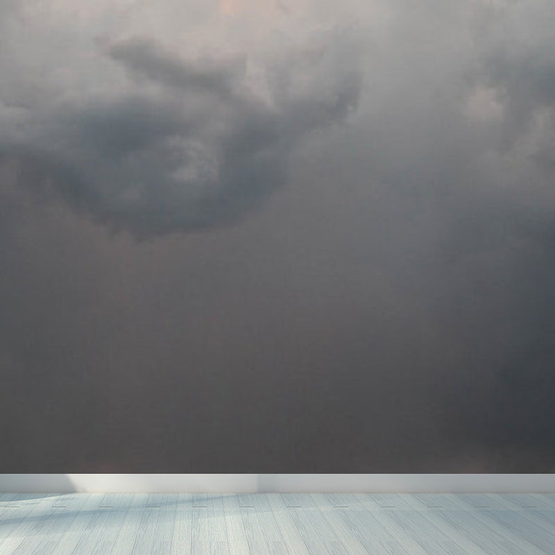 Sky Scene Wall Mural Contemporary Ornamental Dining Room Wall Decor, Personalized