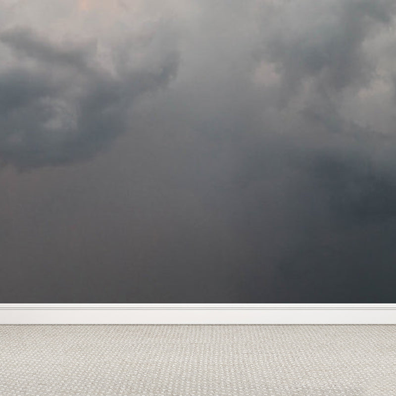 Sky Scene Wall Mural Contemporary Ornamental Dining Room Wall Decor, Personalized