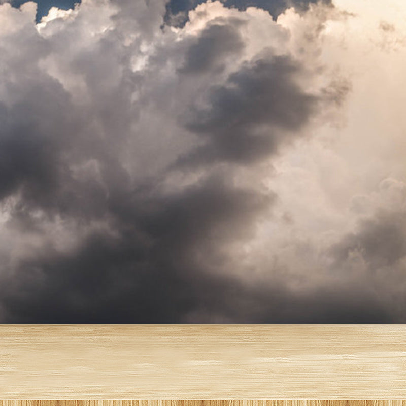 Stain-Proofing Sky View Wall Mural Non-Woven Cloth Contemporary Wall Art for Living Room