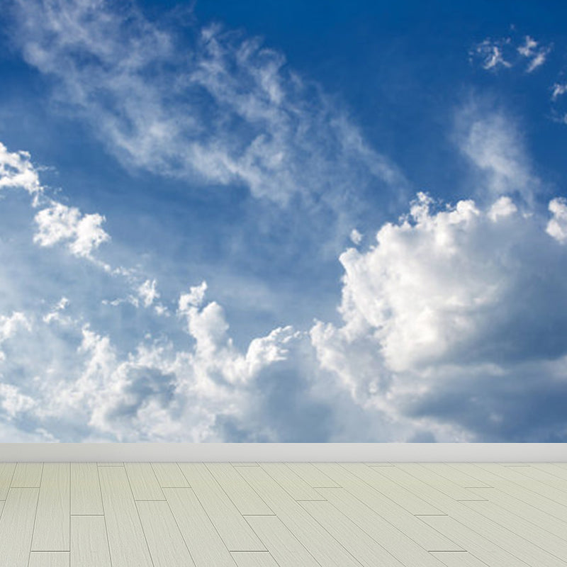 Soft Color Contemporary Mural Decal Giant Sky View Wall Covering for Living Room