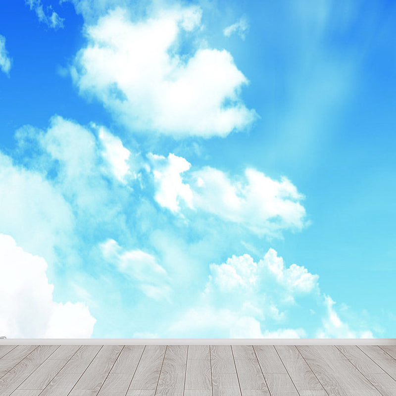 Stain Resistant Cloud View Mural Non-Woven Cloth Contemporary Wall Covering for Kitchen