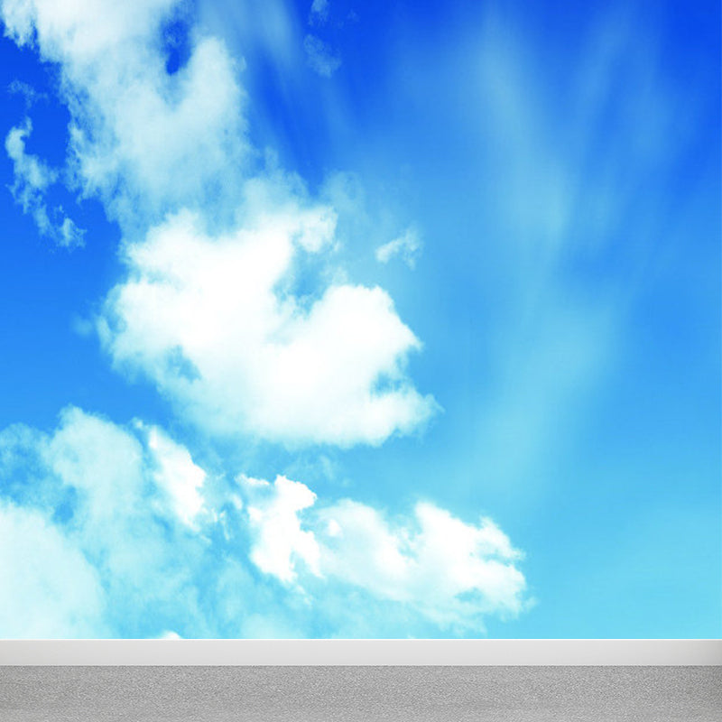 Stain Resistant Cloud View Mural Non-Woven Cloth Contemporary Wall Covering for Kitchen