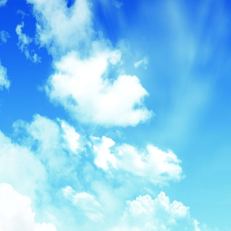 Stain Resistant Cloud View Mural Non-Woven Cloth Contemporary Wall Covering for Kitchen