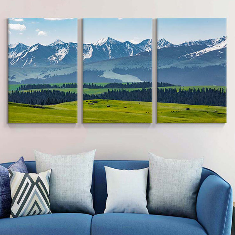 Décoration murale de paysage géographique spécial, toile moderne de couleur claire pour salon