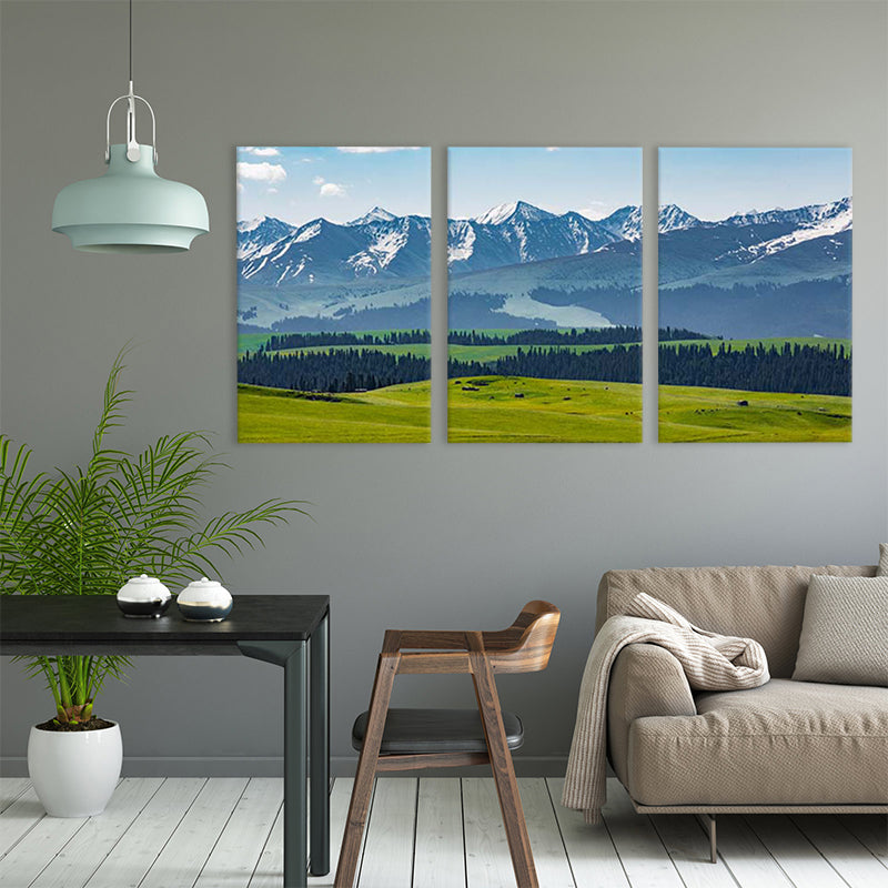 Décoration murale de paysage géographique spécial, toile moderne de couleur claire pour salon
