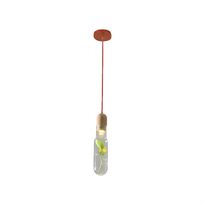 1-Head Ceiling Pendant Factory Bottle Clear Glass LED Pendulum Light with Inner Plant Deco