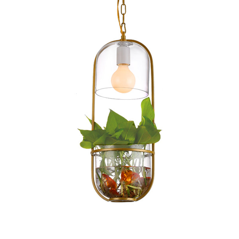 Clear Glass Bottle Suspension Lamp Industrial 1 Light Dining Room Drop Pendant with Oblong Frame