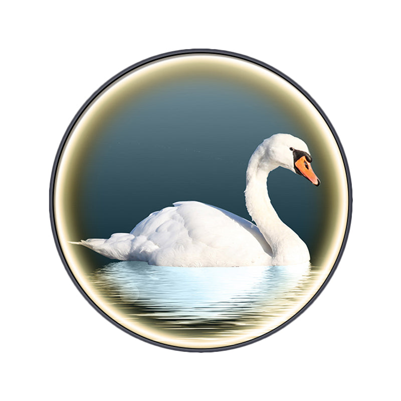 Accesorio de lámpara mural de la pared del dormitorio redondo metal metal cisne asiático superficie de pared de la superficie en blanco, izquierda/derecha