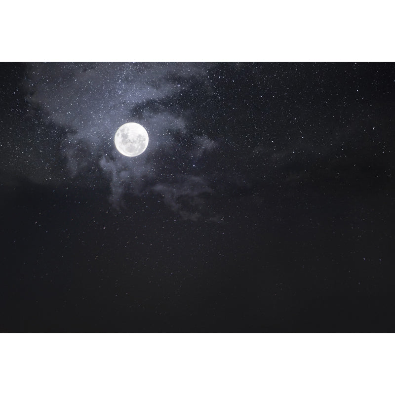 Moon and Starry Sky Mural Wallpaper in White on Black Contemporary Wall Art for Home