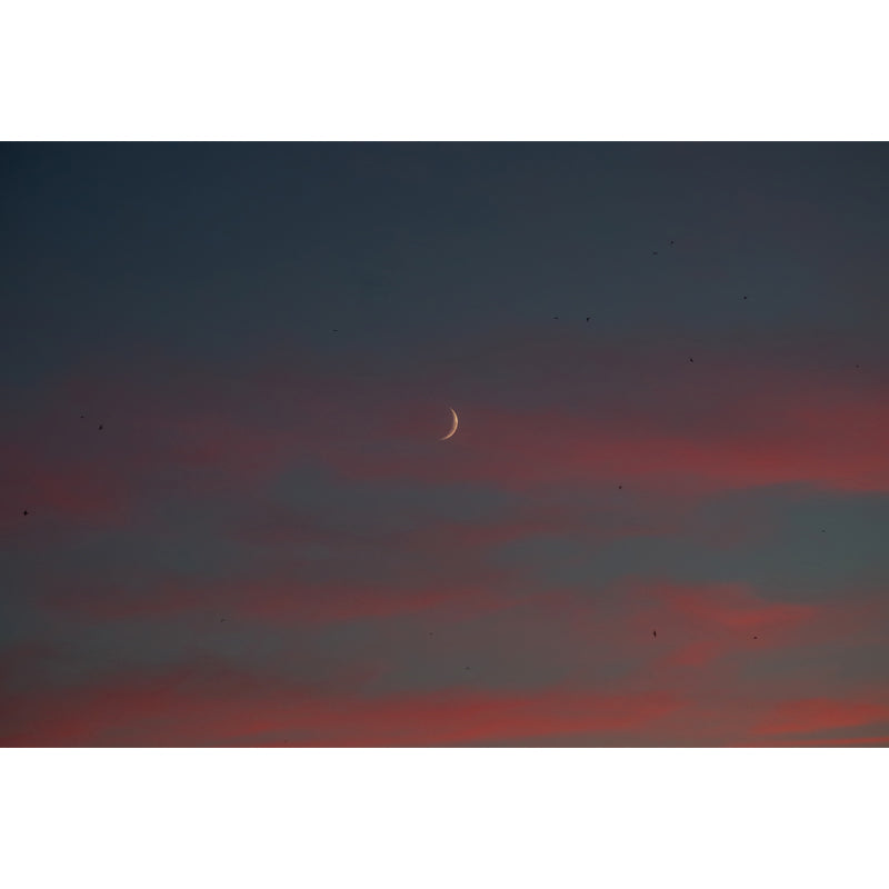 Big Dusk New Moon Mural Blue-Yellow Non-Woven Fabric Wall Art, Stain Resistant, Custom Made