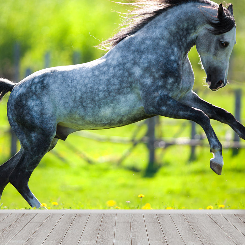 Big Energetic Horse Mural Wallpaper Decorative Contemporary Dining Room Wall Decor