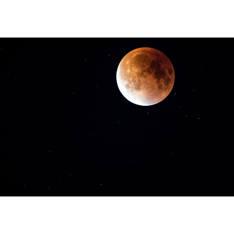 Astronomy Moon Mural Wallpaper Contemporary Smooth Wall Decor in Yellow on Black