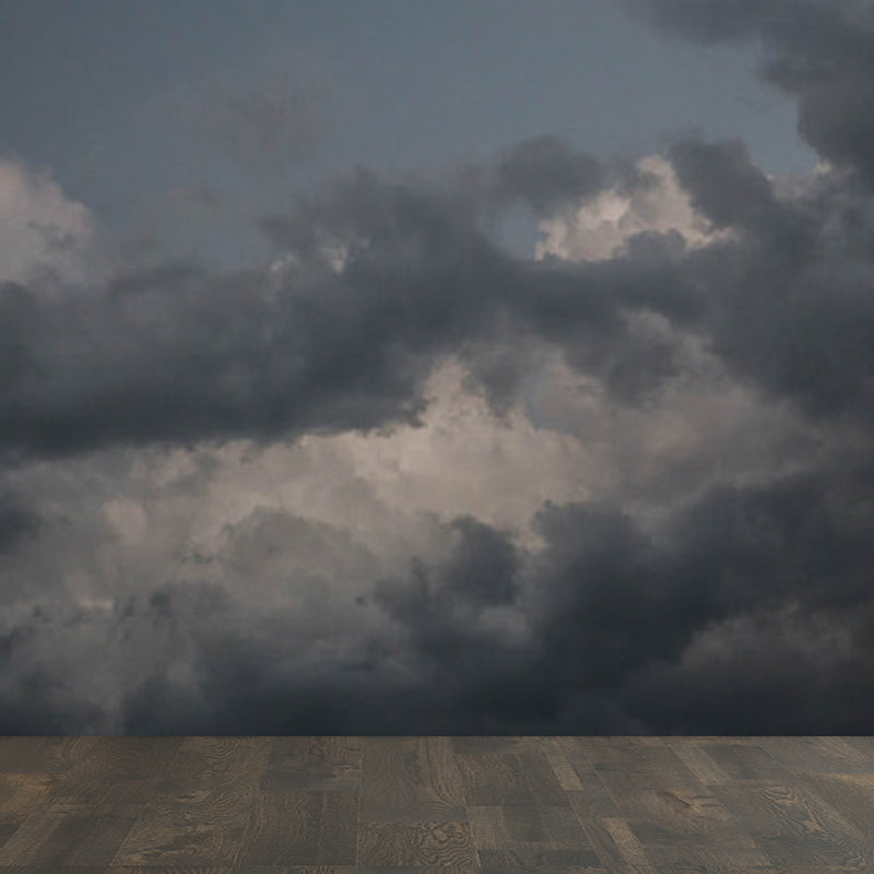 Sky View Mural Wallpaper for Dining Natural Landscape Wall Covering, Personalized