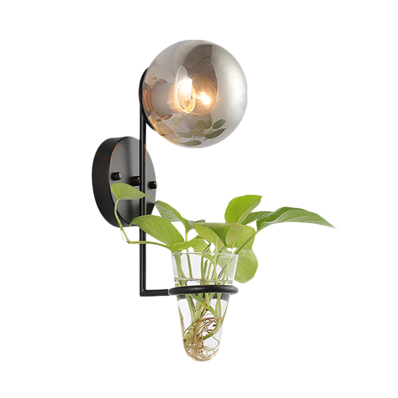 1 Bulb Sconce Lamp Industrial Global Cream/Smoke Gray Glass Wall Light in Black/Gold with Clear Glass Plant Cup