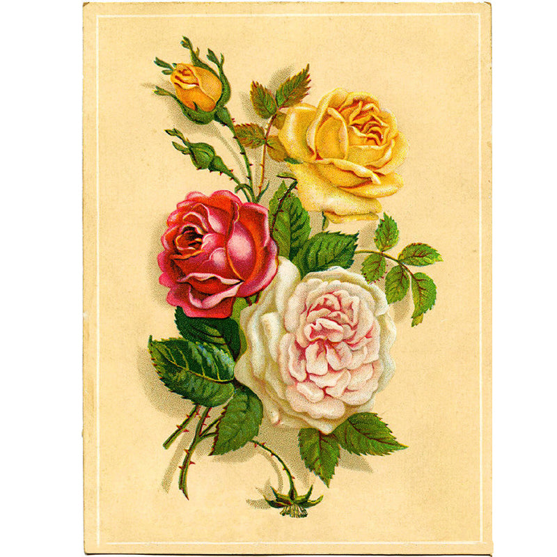 Modern Rose Flower Wall Mural Non-Woven Stain Resistant Beige Wall Art for Kitchen