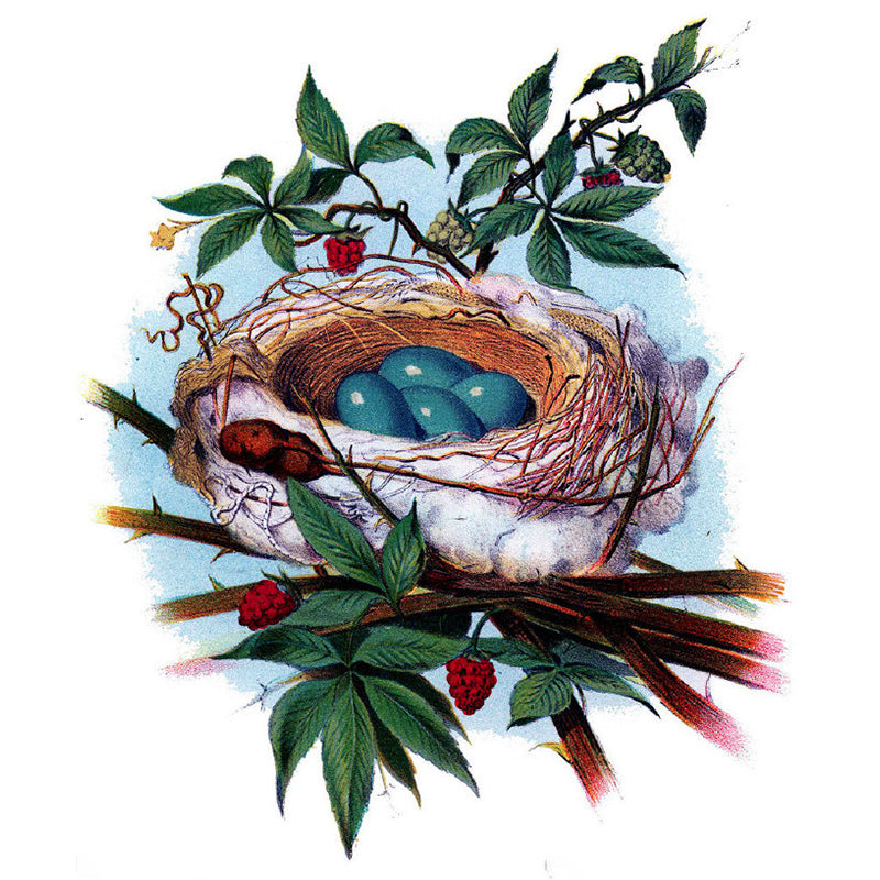 Green Bird's-Nest and Leaves Mural Wallpaper Stain-Proofing Wall Art for Dining Room