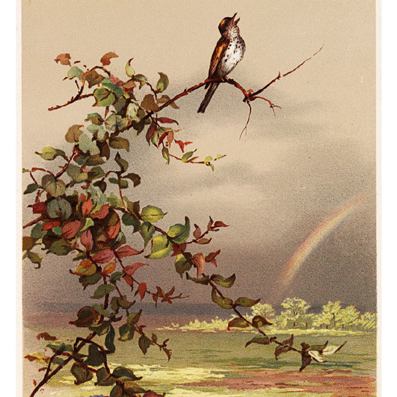 Stain-Proof Branch and Bird Mural Modern Non-Woven Wall Art, Custom Size Available