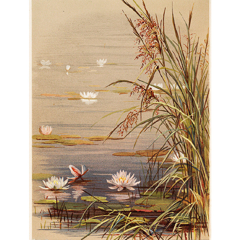 Home Decor Lotus Blossom Mural Decal Customized Contemporary Wall Art for Kitchen