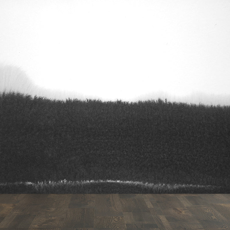 Big Ink Painting Mural Wallpaper Minimalism Abstract Wall Art in Black and White