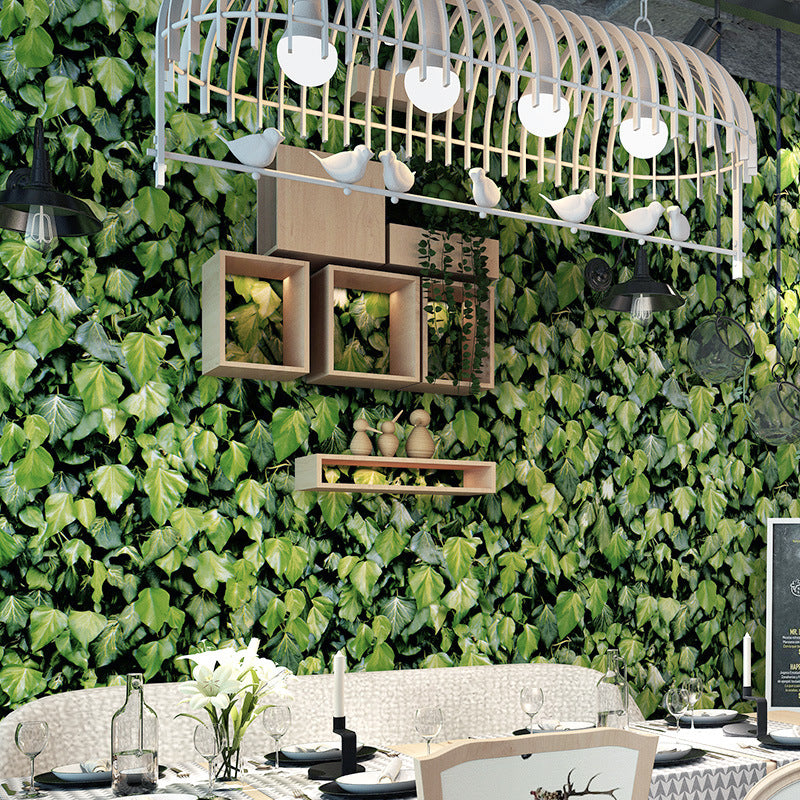 Non-Pasted 20.5-inch x 33-foot Fresh 3D Creeper and Boston Ivy Wallpaper for Restaurant and Dessert Shop